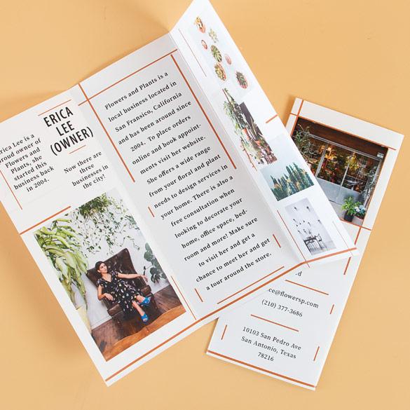 Trifold Brochures