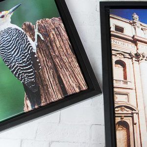 Floating Framed Gallery Wraps