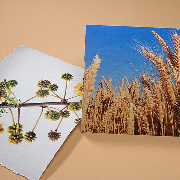 Torchon Fine Art Prints | Deckled Edge (left) | Without Deckled Edge (right)