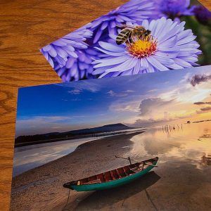 Premium Lustre Prints