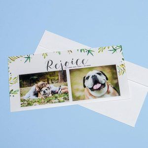 Photographic Greeting Card (4x8) with Plain White Envelope (included)