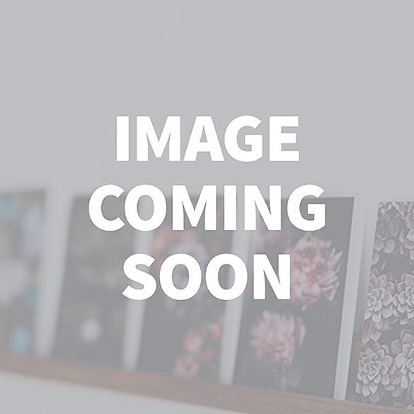image-placeholder-2020 Image Coming Soon